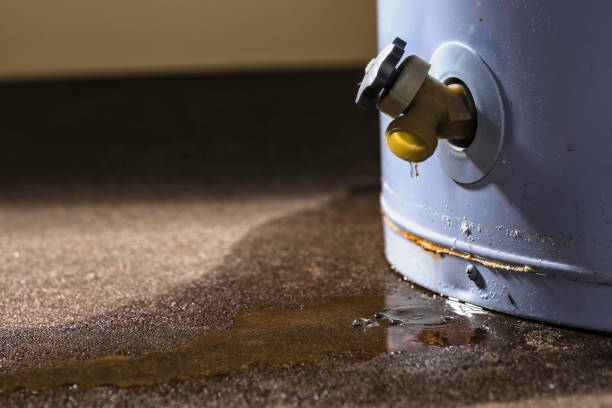 Best Water damage cleanup near me  in Kenmore, WA
