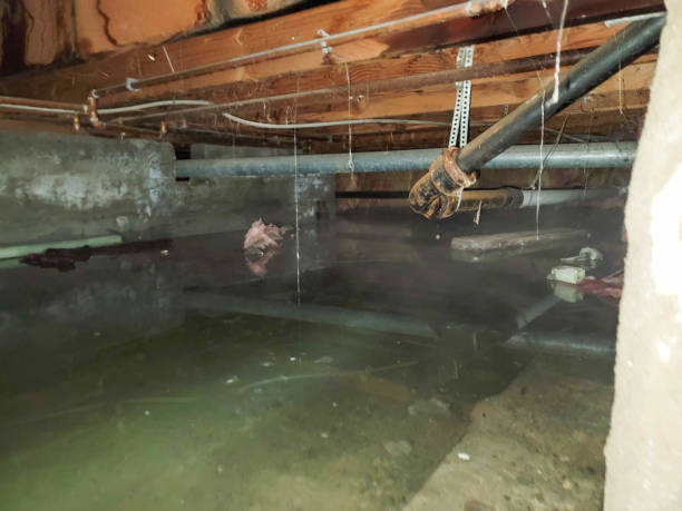 Professional Water damage restoration in Kenmore, WA