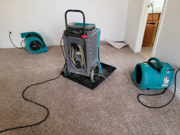Best Professional water damage repair  in Kenmore, WA