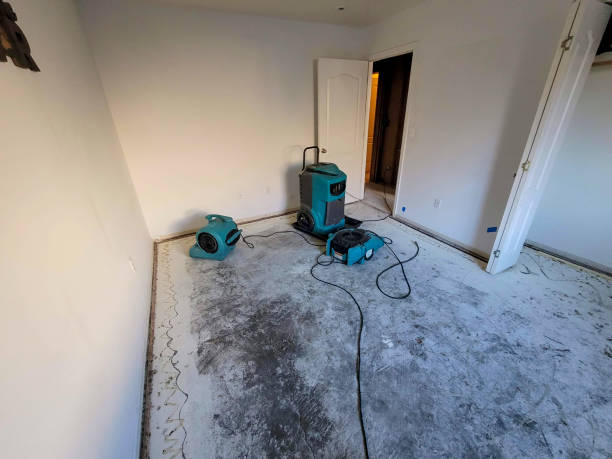 Best Fire Damage Restoration  in Kenmore, WA