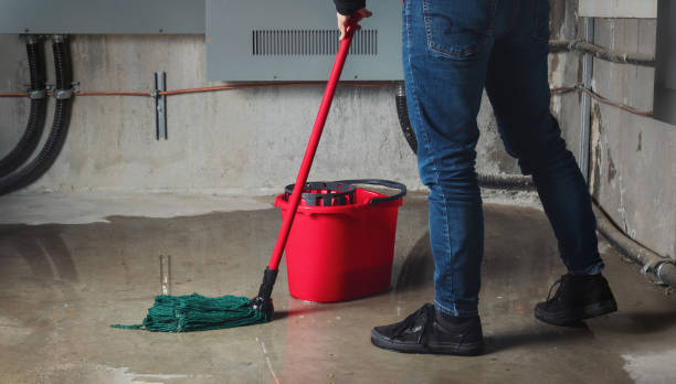 Best Flood damage cleanup  in Kenmore, WA