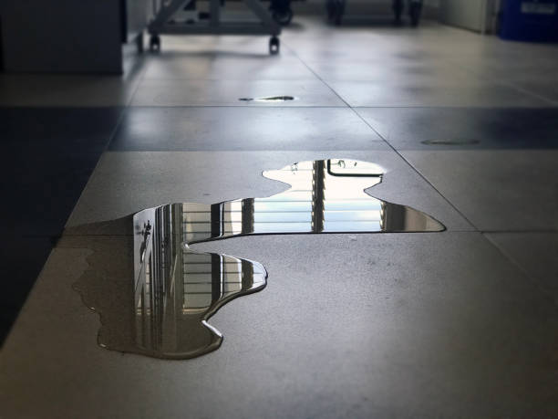 Best 24-hour water damage restoration  in Kenmore, WA