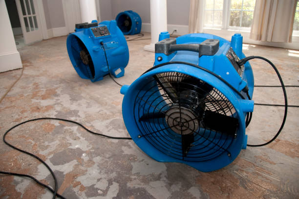 Best Water damage restoration near me  in Kenmore, WA