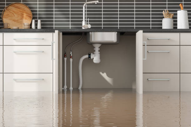 Best Water damage restoration near me  in Kenmore, WA