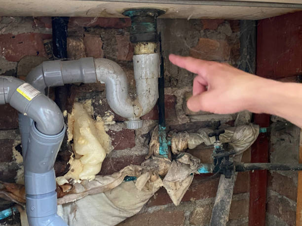 Best Fire Damage Restoration  in Kenmore, WA