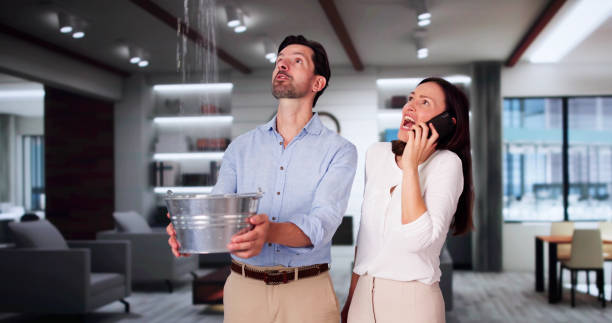 Best Basement water damage restoration  in Kenmore, WA